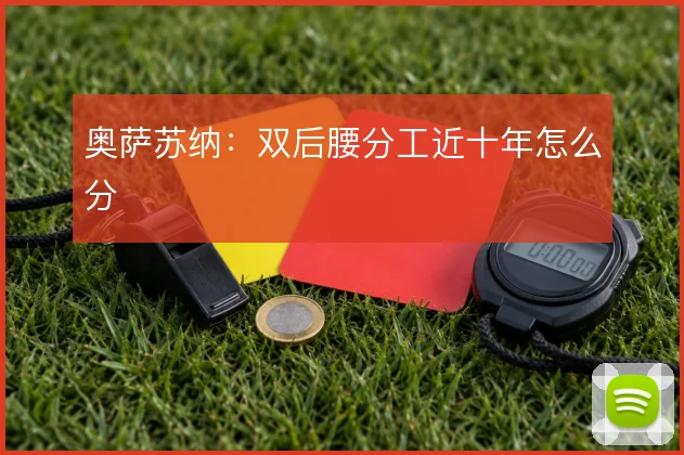 奥萨苏纳：双后腰分工近十年怎么分